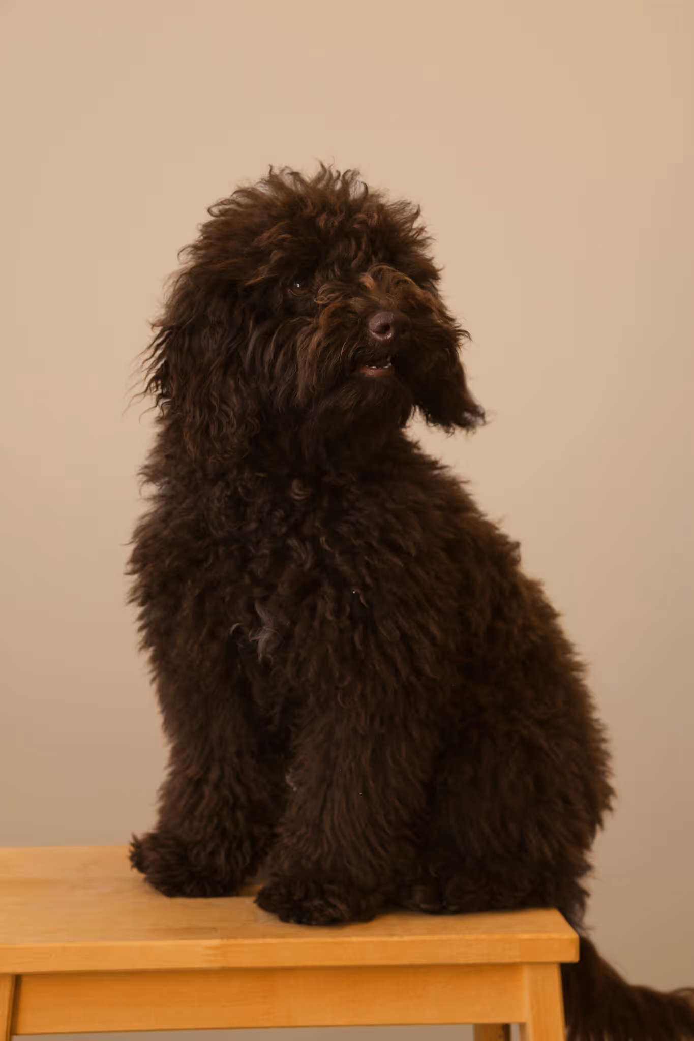 Cooper