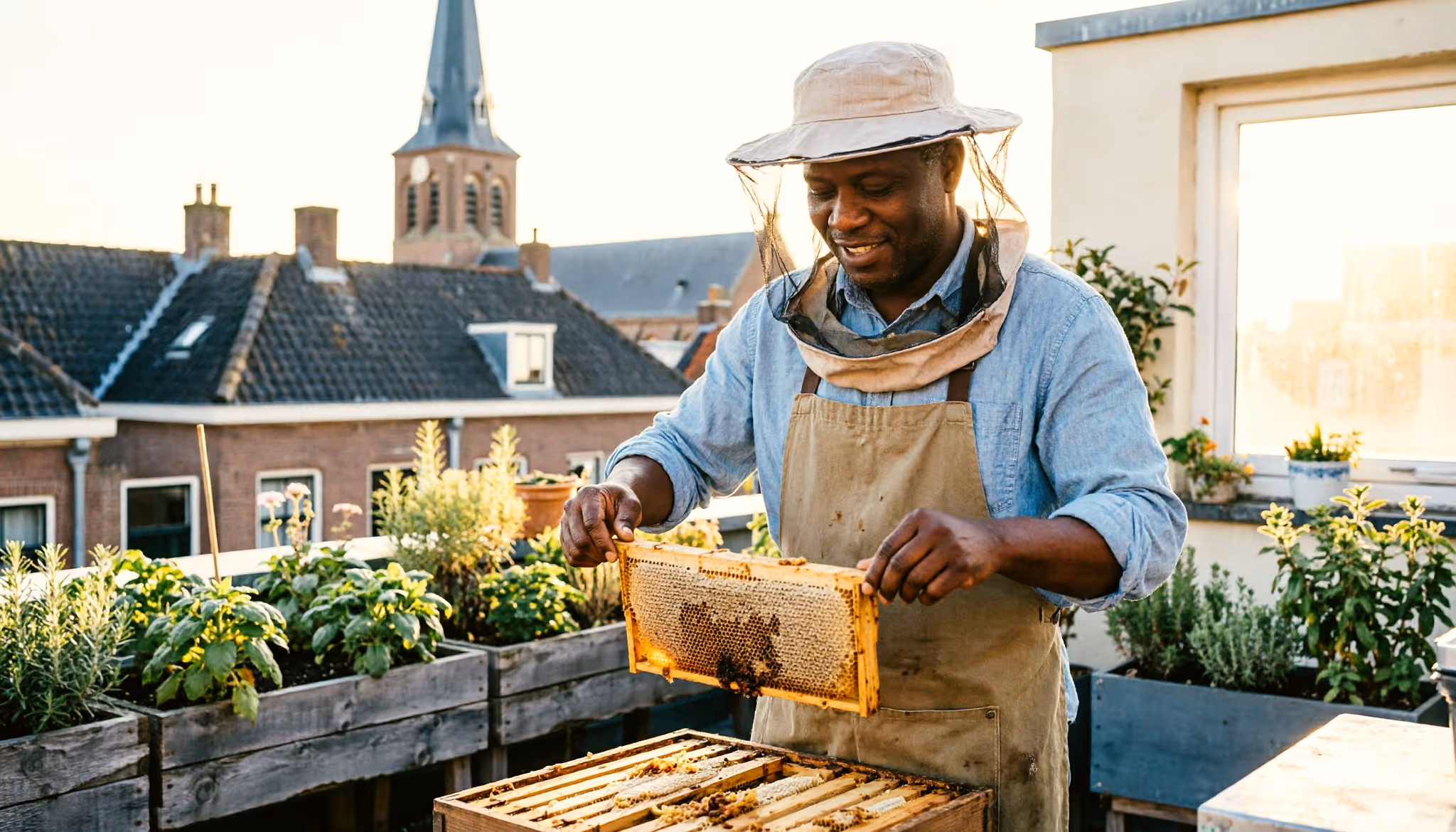 A man tends honeybee hives on a green city rooftop in the late afternoon